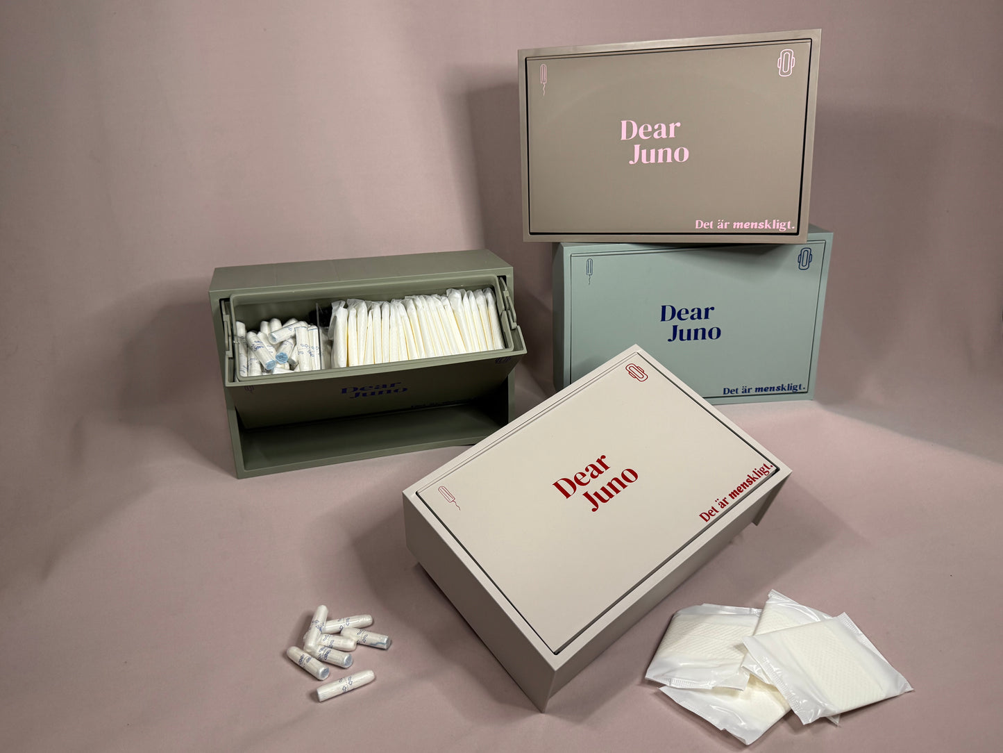Dear Juno – Founders Edition (Livstids tillgång + exklusiv box)
