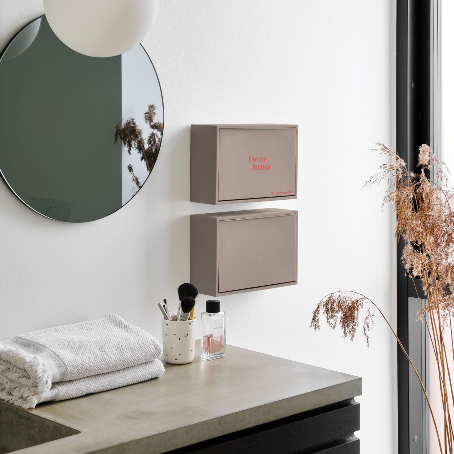 Dear Juno – Founders Edition (Livstids tillgång + exklusiv box)
